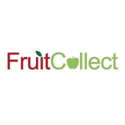 fruit fruit