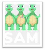 sam sam